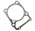 USZCZELKA CYLINDRA VOGE Martinelli