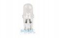 ŻARÓWKA BOSMA 12V 1*LED STANDARD T10 RED BLISTER Martinelli