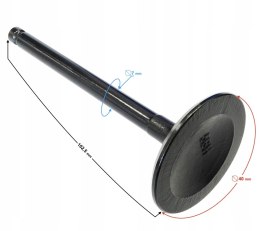 ZAWÓR SSACY HISUN TACTIC 550 Martinelli