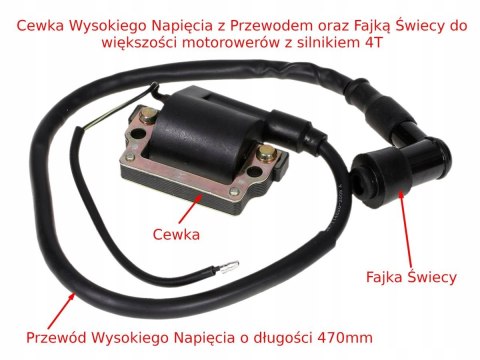 CEWKA WYSOKIEGO NAPIĘCIA MOTOROWER FIGHTER BARTON Martinelli CEWKA WYSOKIEGO NAPIĘCIA MOTOROWER FIGHTER BARTON Martinelli