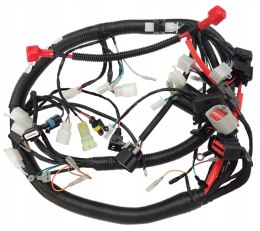 INSTALACJA ELEKTRYCZNA CLASSIC 125 (EURO 5) Martinelli