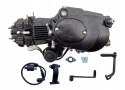 SILNIK 125CC 4T MOTOROWER 139FMA/FMB KOMPLETNY KPL Martinelli