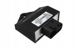 STEROWNIK ECU FALCON 45 KM Martinelli