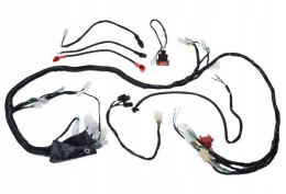 INSTALACJA ELEKTRYCZNA DO ATV BASHAN BS250S-5