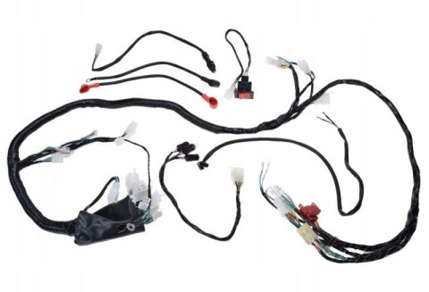 INSTALACJA ELEKTRYCZNA DO ATV BASHAN BS250S-5