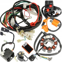 Instalacja Elektryczna Wiązka Cewka Moduł kpl Atv Quad Bashan Eagle 200 250
