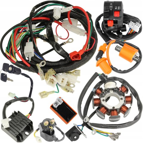 Instalacja Elektryczna Wiązka Cewka Moduł kpl Atv Quad Bashan Eagle 200 250