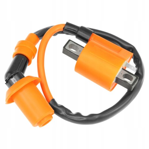 Instalacja Elektryczna Wiązka Cewka Moduł kpl Atv Quad Bashan Eagle 200 250