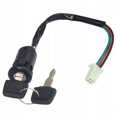 Instalacja Elektryczna Wiązka Cewka Moduł kpl Atv Quad Bashan Eagle 200 250