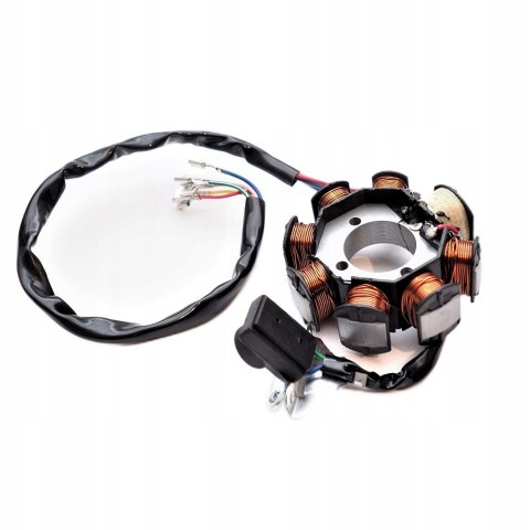 Instalacja Elektryczna Wiązka Cewka Moduł kpl Atv Quad Bashan Eagle 200 250