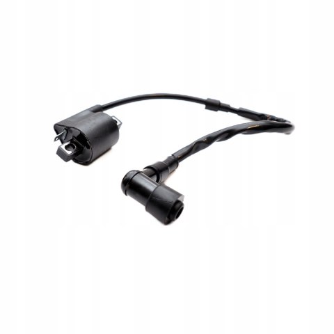 Instalacja Elektryczna Wiązka Cewka Moduł kpl Atv Quad Bashan Eagle 200 250