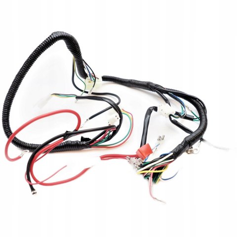 Instalacja Elektryczna Wiązka Cewka Moduł kpl Atv Quad Bashan Eagle 200 250