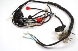 Instalacja elektryczna do motoroweru Ranger Barton Classic