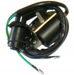 OBSERWUJ Cewka zapłonowa ATV 110 125 Martinelli