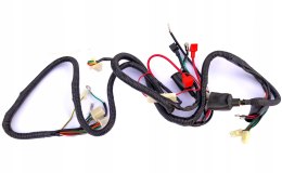 INSTALACJA ELEKTRYCZNA WIĄZKA ZIPP QUANTUM SOWA Martinelli