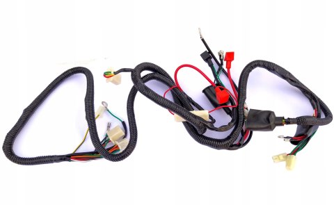 INSTALACJA ELEKTRYCZNA WIĄZKA ZIPP QUANTUM SOWA Martinelli