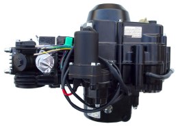 SILNIK 125 12KM PÓŁAUTOMAT ATV QUAD 3+1 WSTECZNY Martinelli