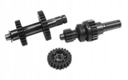 Skrzynia Biegów 1+1 do ATV / Quada - Wysoka Jakość Martinelli