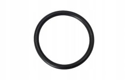 USZCZELKA O-RING 24,7X2,65 BD250 MZK Martinelli