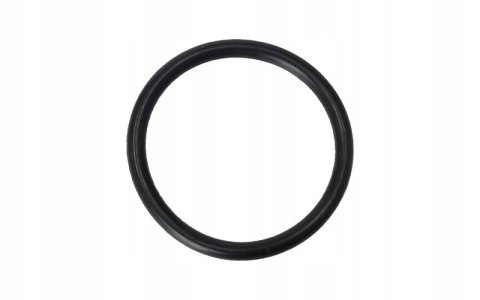 USZCZELKA O-RING 24,7X2,65 BD250 MZK Martinelli