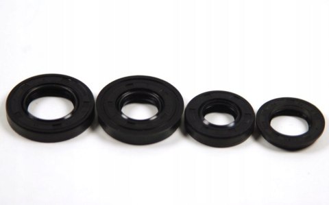 USZCZLNIACZE WAŁU SILNIKA SKUTER 2T QUANTUM LONGIJA ZIPP SIMMERING