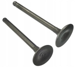 ZAWORY 110CC DO SILNIKA BTS Martinelli