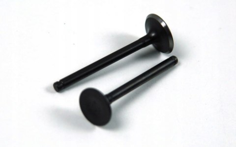 ZAWORY 110CC DO SILNIKA BTS Martinelli