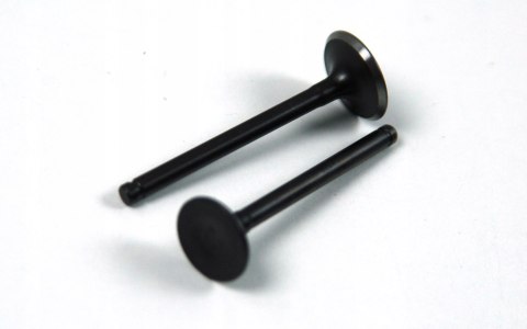 ZAWORY 110CC DO SILNIKA BTS Martinelli