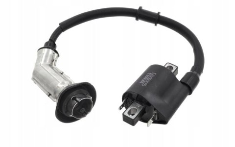 CEWKA WYSOKIEGO NAPIĘCIA B-MAX NA WTRYSK Martinelli