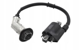 CEWKA WYSOKIEGO NAPIĘCIA B-MAX NA WTRYSK Martinelli