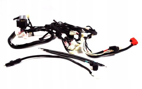 INSTALACJA ELEKTRYCZNA MOTOCYKL BLADE 125 BARTON Martinelli