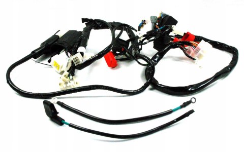 INSTALACJA ELEKTRYCZNA MOTOCYKL BLADE PRO BARTON Martinelli