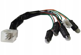 INSTALACJA WIĄZKA LICZNIKA PODŚWIETLENIE SKUTER 4T