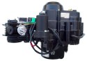 SILNIK 125 12KM PÓŁAUTOMAT ATV QUAD 1+1 WSTECZNY