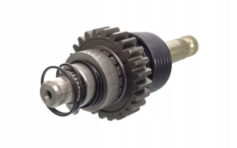 WAŁEK ROZRUSZNIKA NOŻNEGO DO MOTOCYKLA BLADE 125 Martinelli