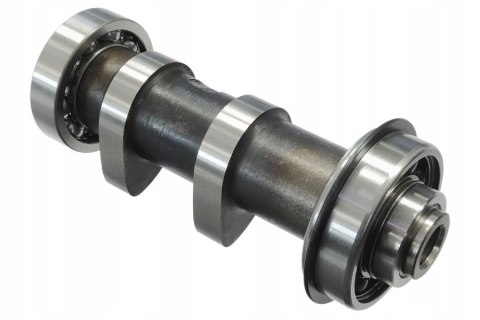 WAŁEK ROZRZĄDU - GP1 BLADE R Martinelli