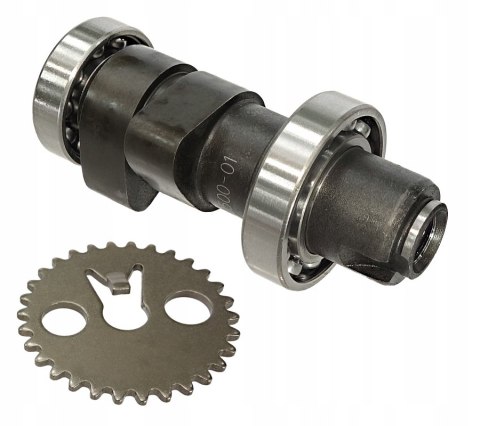 WAŁEK ROZRZĄDU SYM ACTIVE Martinelli