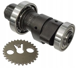 WAŁEK ROZRZĄDU SYM ACTIVE Martinelli