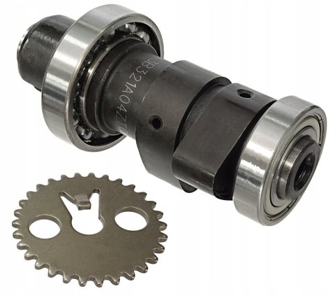 WAŁEK ROZRZĄDU SYM ACTIVE Martinelli