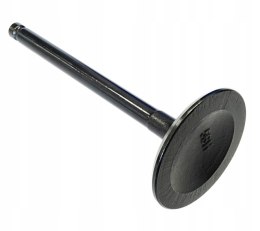 ZAWÓR SSACY HISUN TACTIC 550 Martinelli