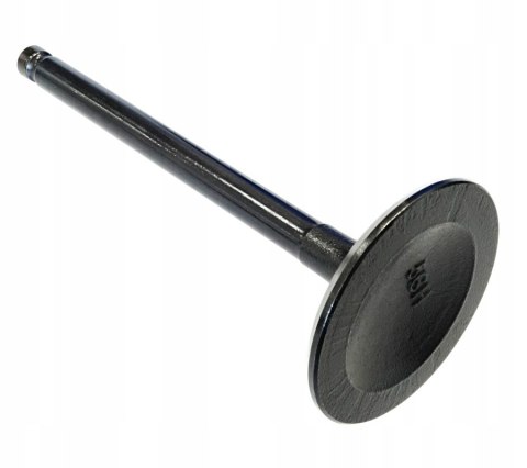 ZAWÓR SSACY HISUN TACTIC 550 Martinelli