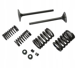 ZAWORY KPL DB250 MZK Martinelli