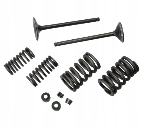 ZAWORY KPL DB250 MZK Martinelli