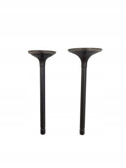 ZAWORY QUAD ATV 200 250 EAGLE LONCIN KINGWAY