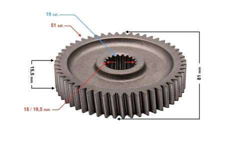 ZĘBATKA PRZEKŁADNI GALACTIC EURO 4 Martinelli