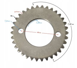 ZĘBATKA ROZRZĄDU DB250 MZK Martinelli