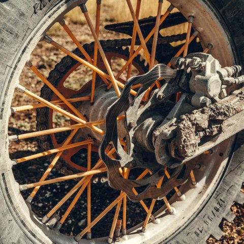 OPASKA SZPRYCHY ZIELONA (36 SZT.) Martinelli