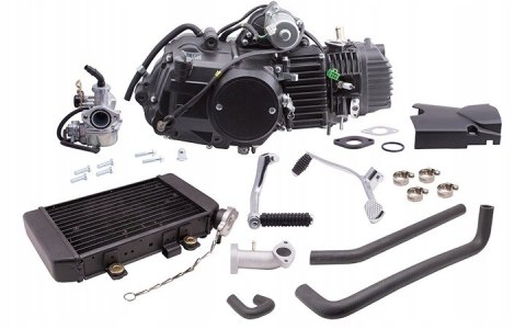 SILNIK 130CC CHŁODZONY CIECZĄ Z CHŁODNICĄ Martinelli