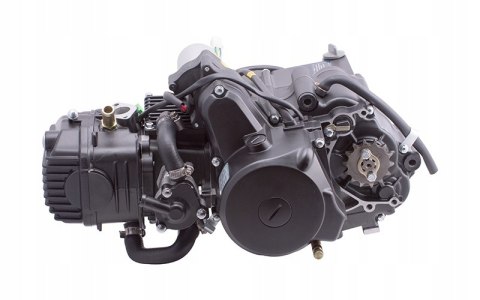 SILNIK 130CC CHŁODZONY CIECZĄ Z CHŁODNICĄ Martinelli