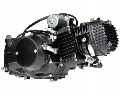 SILNIK 130CC CHŁODZONY CIECZĄ Z CHŁODNICĄ Martinelli